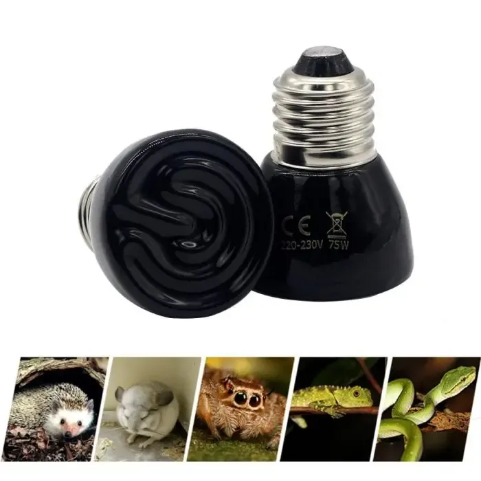 Reptile Pet Heating Lamp