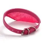 Dog Collars For Small Dog