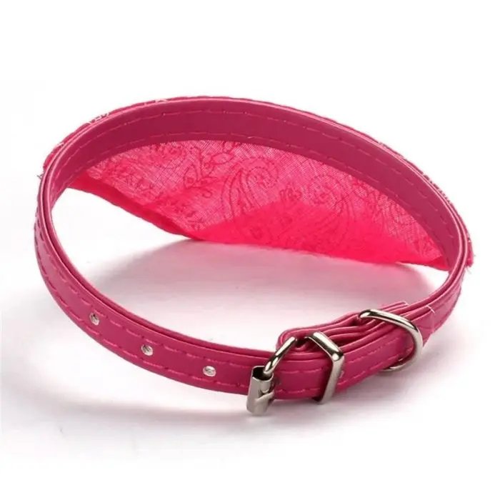 Dog Collars For Small Dog