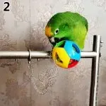 Bird Chain Chew Ball