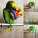 Bird Chain Chew Ball