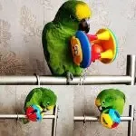 Bird Chain Chew Ball