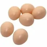 10 Pcs Simulation Chicken Eggs