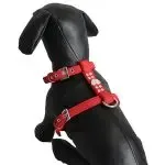 Pet Chest Strap Shining Rhinestone Heart design