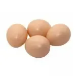 10 Pcs Simulation Chicken Eggs