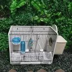 Bird Mating Box