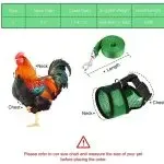 L Size Fashion Chicken Vest