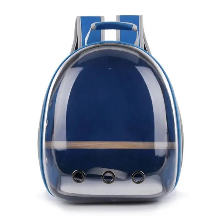 Transparent Backpack Outdoor Travel