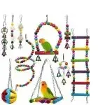 Bird Cage Toys