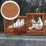 Pigeon Breeding Eggs Mat