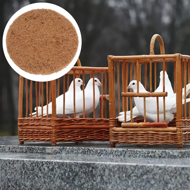 Pigeon Breeding Eggs Mat