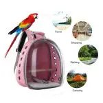 Transparent Backpack Outdoor Travel