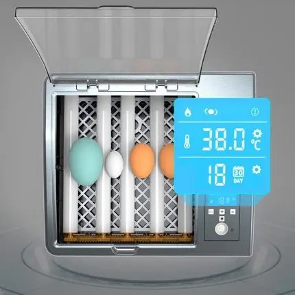 Fully automatic egg incubator