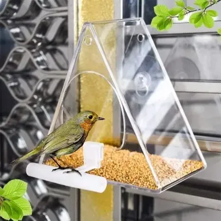 Transparent Window Bird Feeder