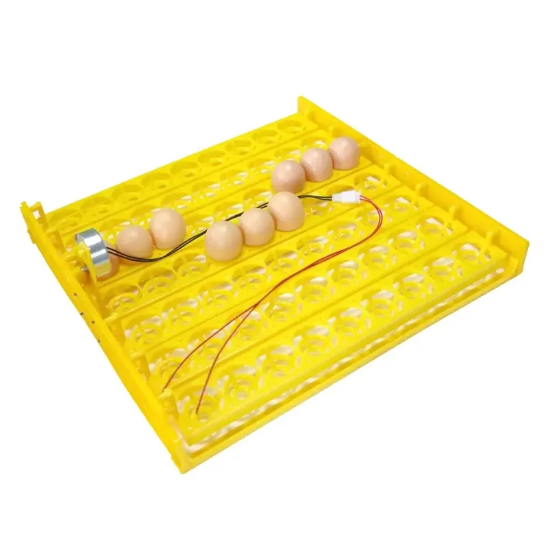 Top 63 Eggs Incubator Turn Tray