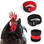 Rooster Neck Collar Supplies