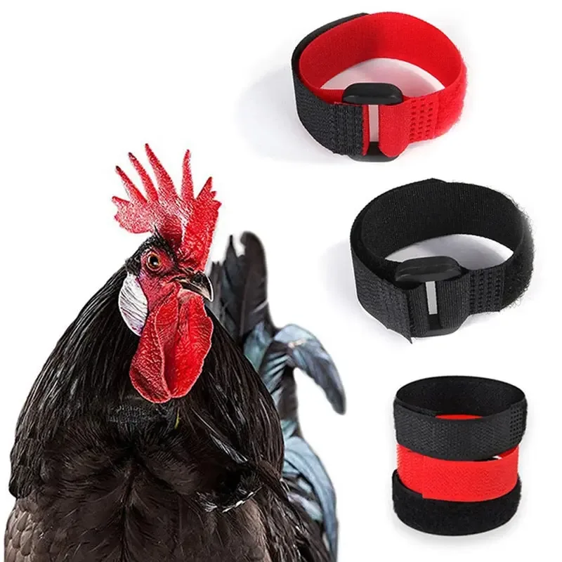 Rooster Neck Collar Supplies