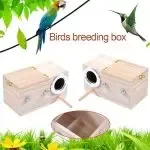 Breeding Bird Mating Box