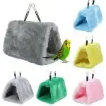 Bird Warm Hanging Cave