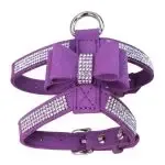Pet Chest Strap Shining Rhinestone Heart design
