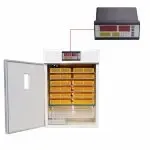 House Multifunction Egg Temperature Incubator