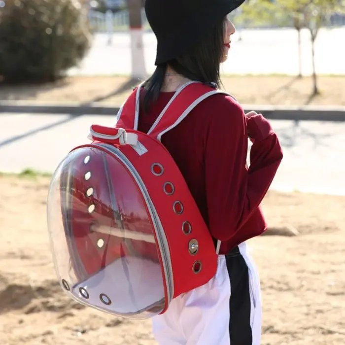 Transparent Backpack Outdoor Travel