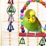 10 Peaches Bird Cage Toys
