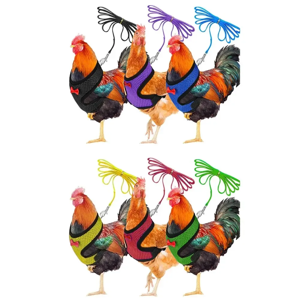 L Size Fashion Chicken Vest