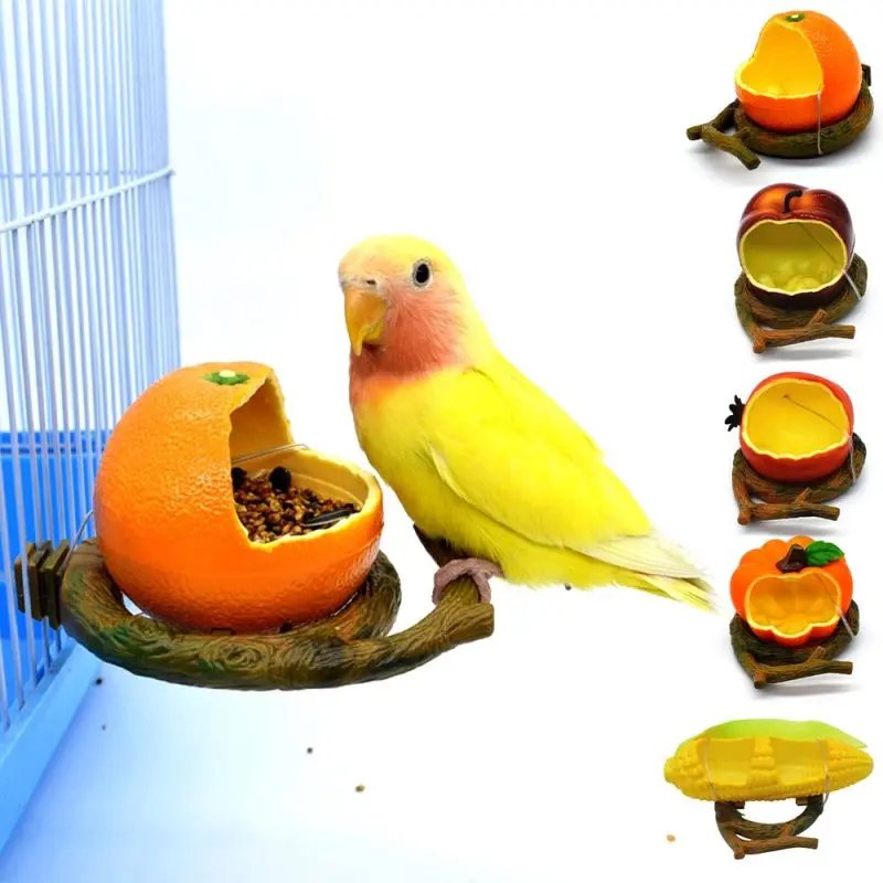 Fruit Shape Birds Feeder Bowl