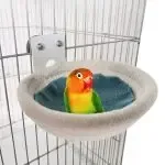 Breeding & Nesting House for Lovebird