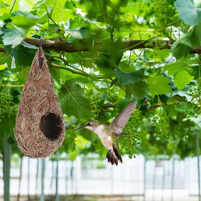 Natural Bird Hut For Outside