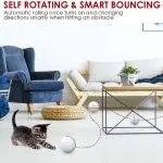 Cat 360 Degree Self Rotating Ball