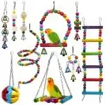 10 Peaches Bird Cage Toys