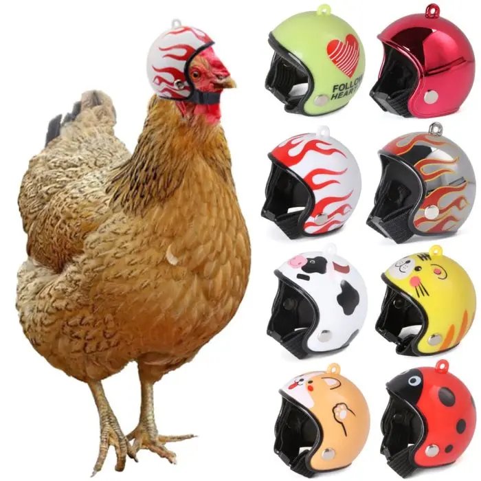 Chicken Helmet
