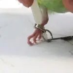 Birds Metal Foot Rings