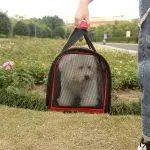 Pet Breathable Handbag Backpack