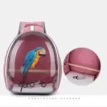 Transparent Backpack Outdoor Travel