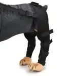 Pet Leg Support Supplies