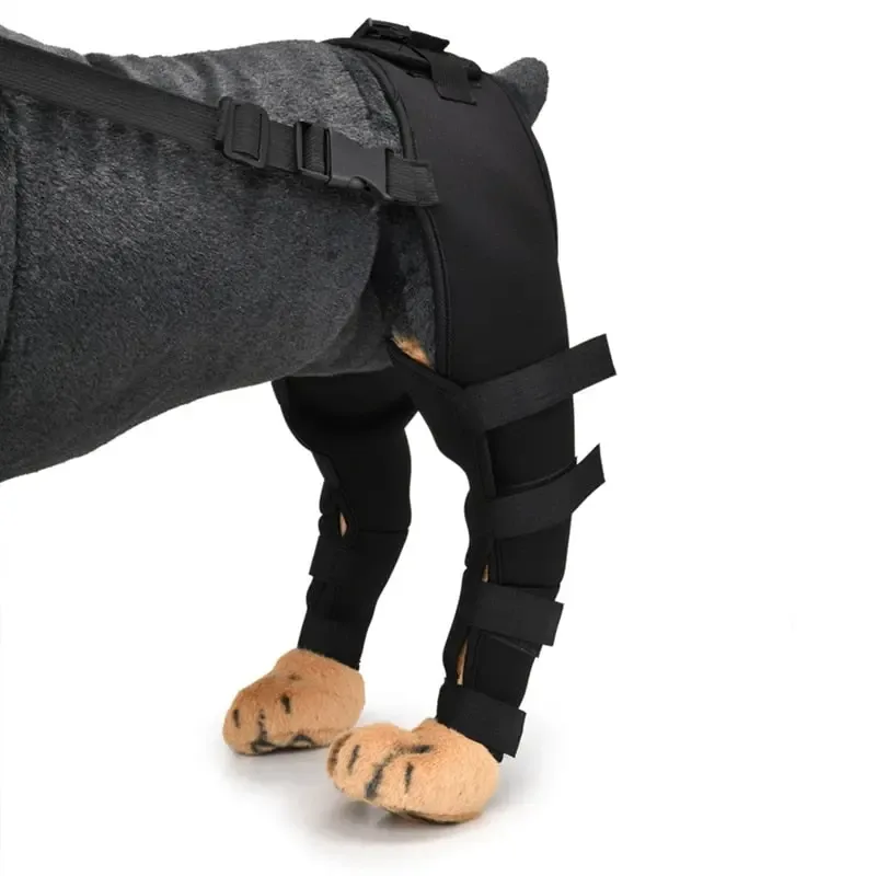 Pet Leg Support Supplies