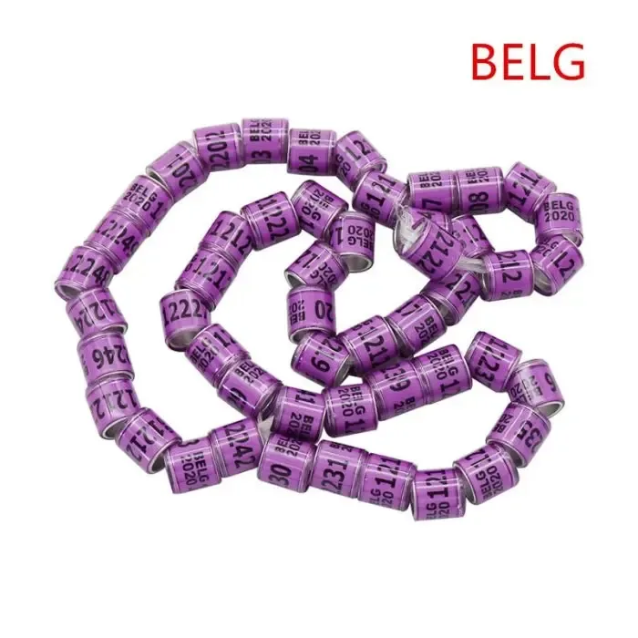 Multicolor Pigeon Foot Ring