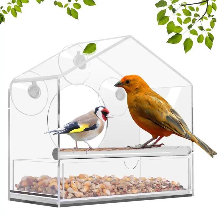 Acrylic Transparent Window Bird Feeder Tray