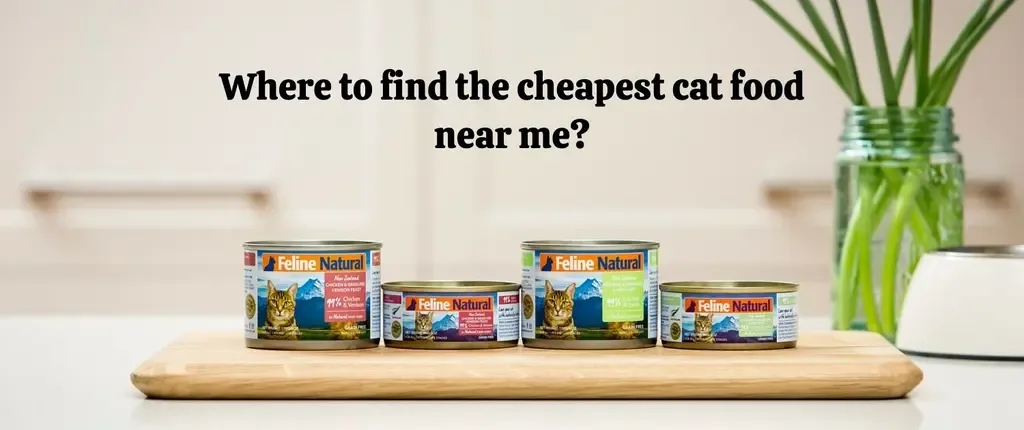 Where to find the cheapest cat food near me?